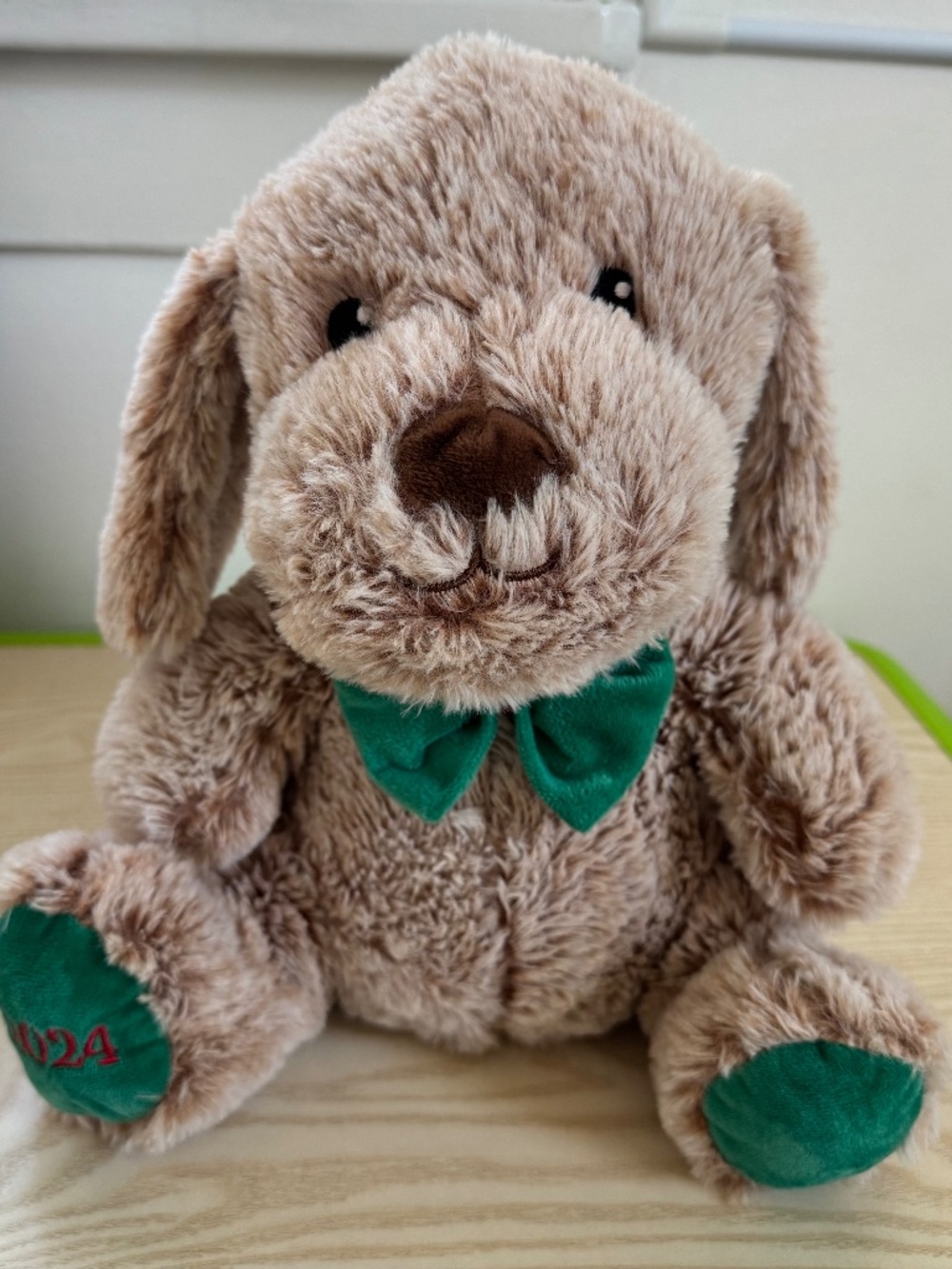 Plush Petsmart Chance The Dog 11" Plush Dog Toy Squeaker Tan Green 2024
